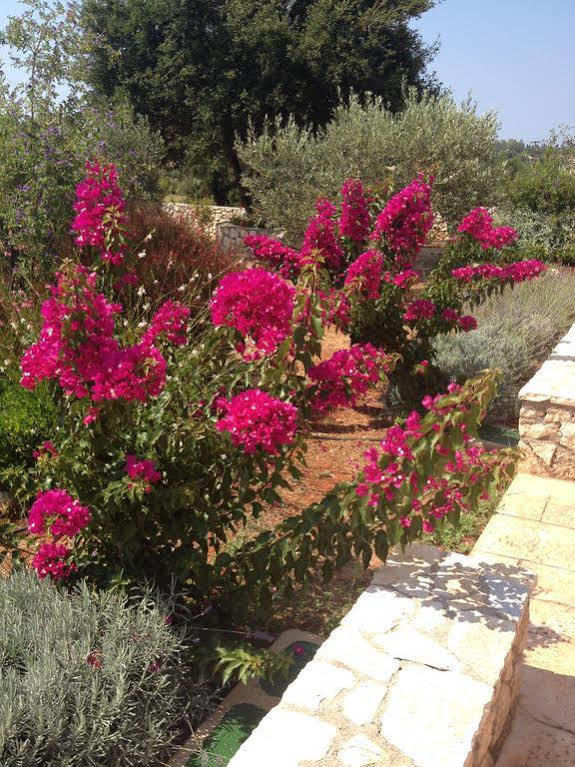 Korallis Villas Livathos  Εξωτερικό φωτογραφία