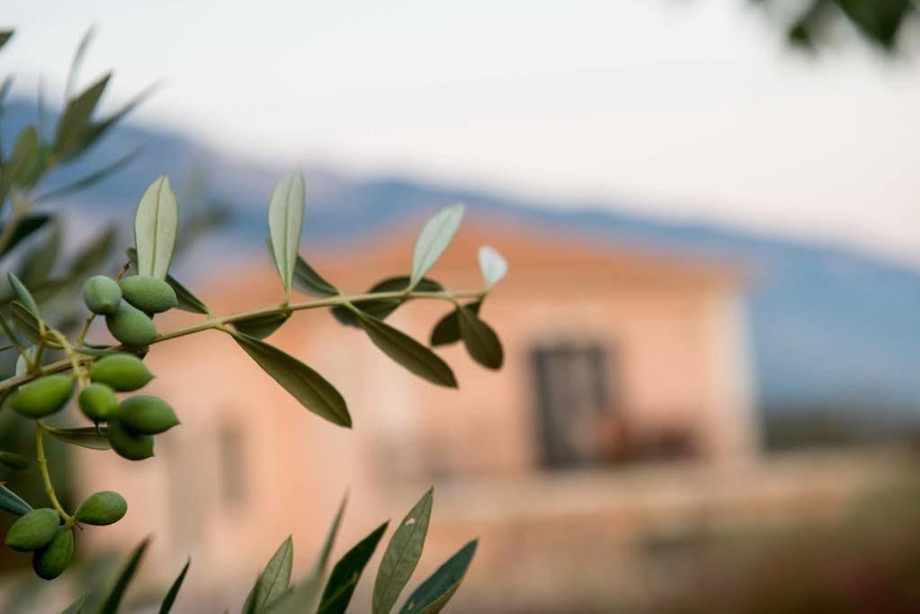 Korallis Villas Livathos  Εξωτερικό φωτογραφία